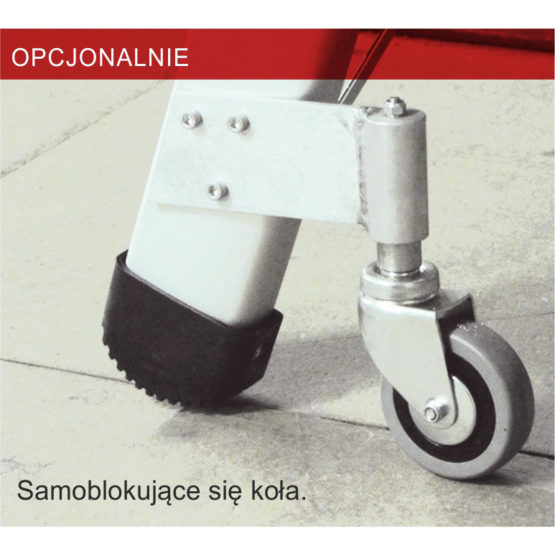 Profesjonalna drabina Faraone Domus